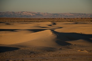 © Sebastian van Baalen